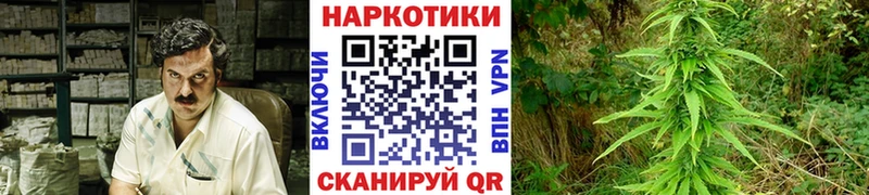 Купить наркотики цена Морозовск Альфа ПВП  Меф  ГЕРОИН  Гашиш  Псилоцибиновые грибы 