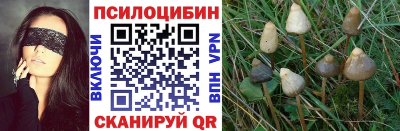 Псилоцибиновые грибы ЛСД  гидра зеркало  Морозовск 