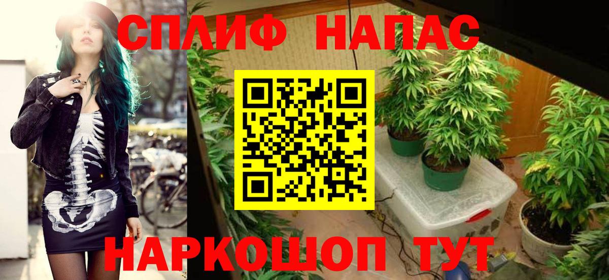 Бошки Шишки семена Морозовск